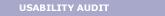 Usability Audit