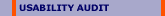 Usability Audit